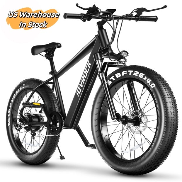 Professional Electric Bike For Adults.