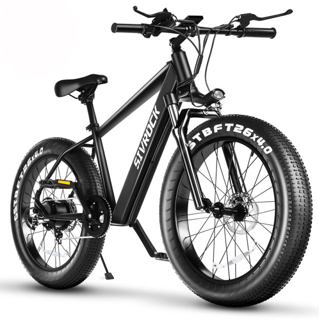 Professional Electric Bike For Adults.